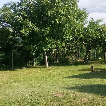 Monteverde Rural Relax 펜션